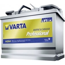 Battery Professional AGM LA