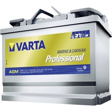 Battery Professional AGM LA