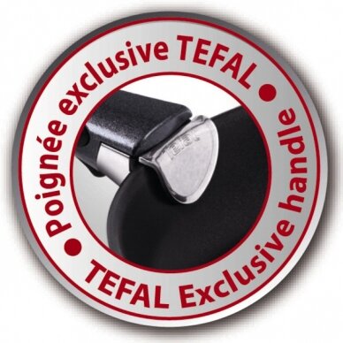 Tefal Ingenio premium rankena, nuimama, 27 cm 2